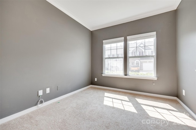 365 Battery Cir, Clover, SC 29710 - unfurnished room with carpet floors and ornamental molding