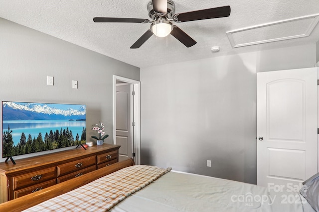 1193 Brown Ave, Waynesville, NC 28786 - photo 29
