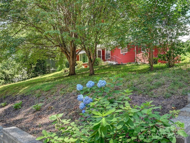 123 Blake Dr, Arden, NC 28704 - view of yard