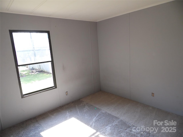 1475 Ferguson Dr, Clemmons, NC 27012 - empty room with plenty of natural light and carpet