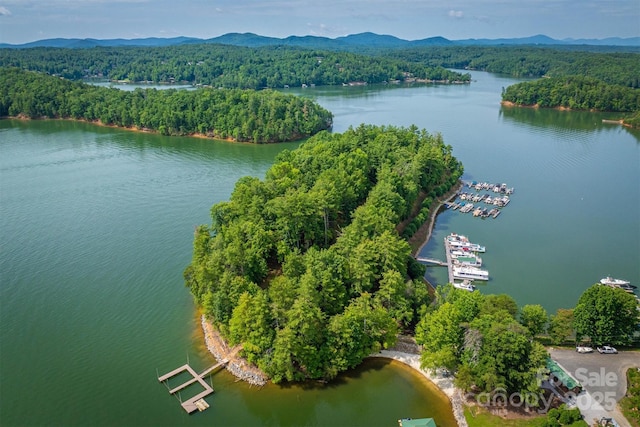 810 Marina Dr Unit 1, 2 & 3, Nebo, NC 28761 - photo 2