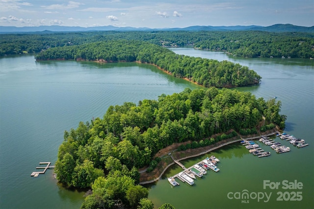 810 Marina Dr Unit 1, 2 & 3, Nebo, NC 28761 - photo 3