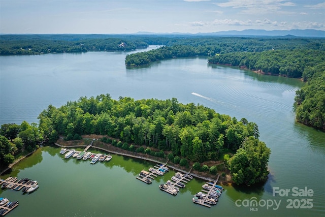 810 Marina Dr Unit 1, 2 & 3, Nebo, NC 28761 - photo 4