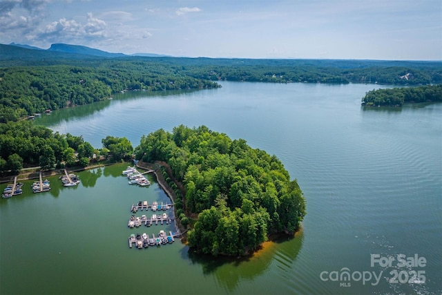 810 Marina Dr Unit 1, 2 & 3, Nebo, NC 28761 - photo 5