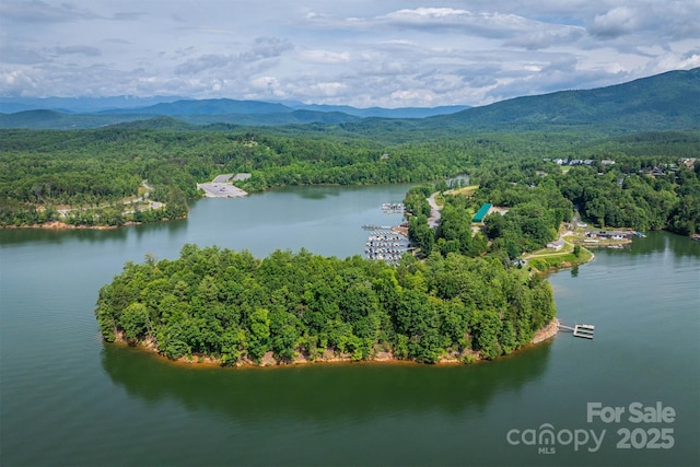 810 Marina Dr Unit 1, 2 & 3, Nebo, NC 28761 - photo 7