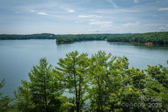 810 Marina Dr Unit 1, 2 & 3, Nebo, NC 28761 - photo 9