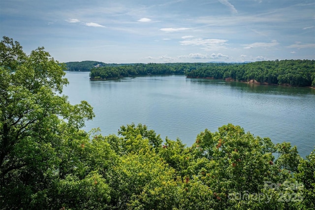 810 Marina Dr Unit 1, 2 & 3, Nebo, NC 28761 - photo 10