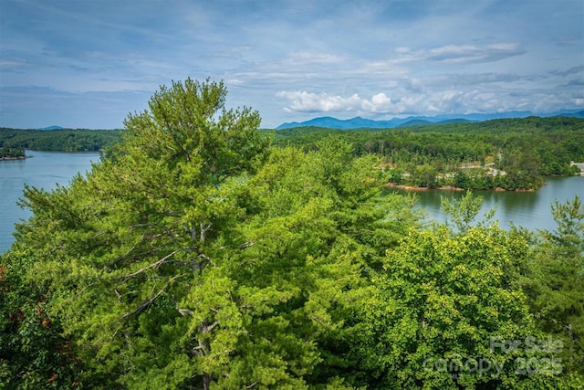 810 Marina Dr Unit 1, 2 & 3, Nebo, NC 28761 - photo 11