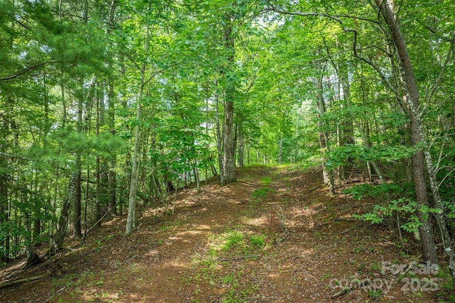 810 Marina Dr Unit 1, 2 & 3, Nebo, NC 28761 - photo 12