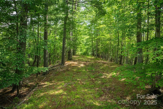 810 Marina Dr Unit 1, 2 & 3, Nebo, NC 28761 - photo 13