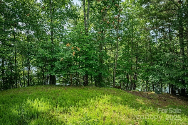 810 Marina Dr Unit 1, 2 & 3, Nebo, NC 28761 - photo 14