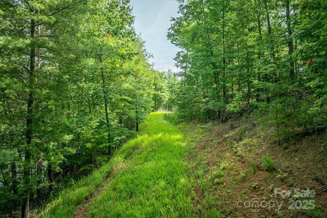 810 Marina Dr Unit 1, 2 & 3, Nebo, NC 28761 - photo 16