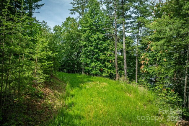 810 Marina Dr Unit 1, 2 & 3, Nebo, NC 28761 - photo 17