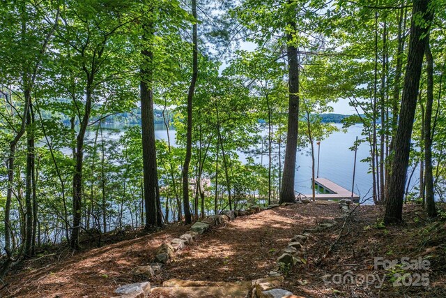 810 Marina Dr Unit 1, 2 & 3, Nebo, NC 28761 - photo 18