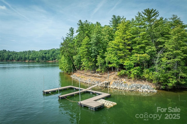 810 Marina Dr Unit 1, 2 & 3, Nebo, NC 28761 - photo 20
