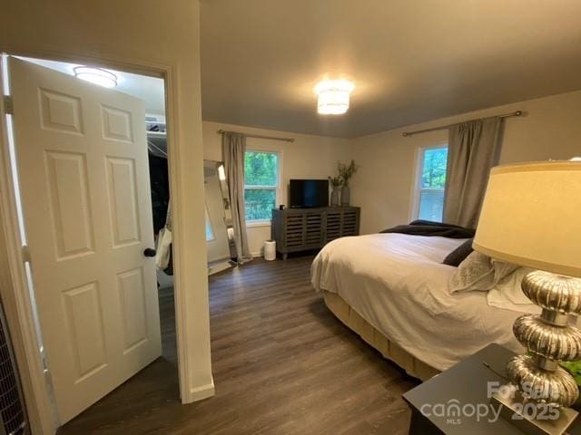9800 Feldbank Dr, Charlotte, NC 28216 - bedroom with dark wood finished floors and baseboards