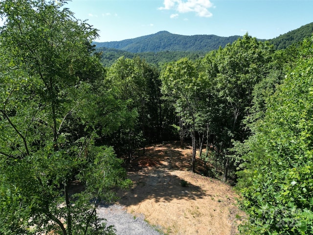 1915 Catawba Falls Pkwy Unit 232, Black Mountain, NC 28711