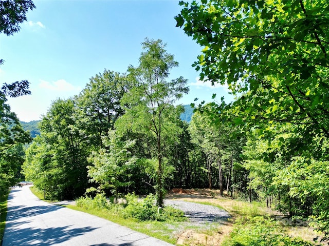 1915 Catawba Falls Pkwy Unit 232, Black Mountain, NC 28711
