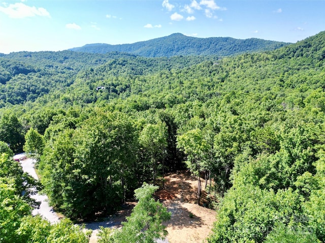 1915 Catawba Falls Pkwy Unit 232, Black Mountain, NC 28711