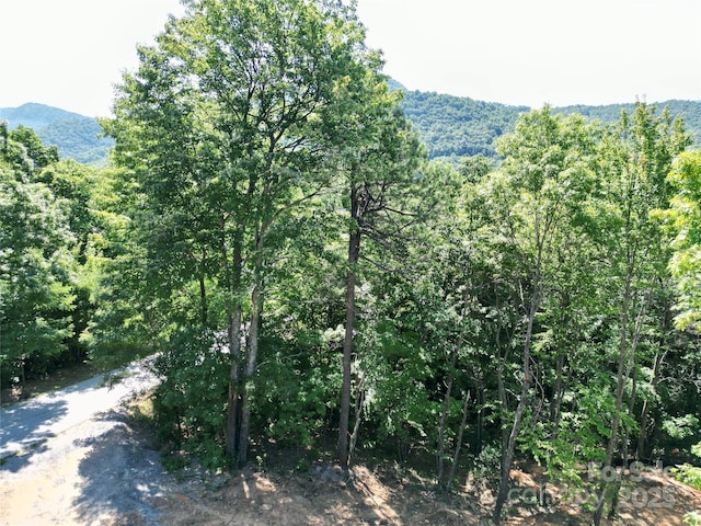 1915 Catawba Falls Pkwy Unit 232, Black Mountain, NC 28711