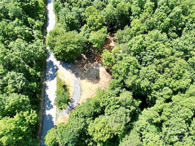 1915 Catawba Falls Pkwy Unit 232, Black Mountain, NC 28711