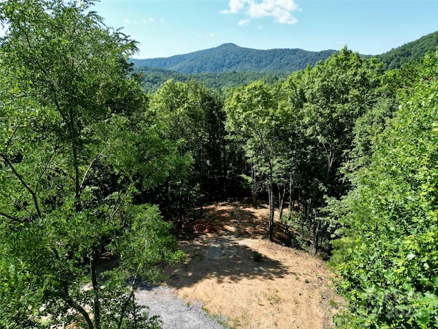 1915 Catawba Falls Pkwy Unit 232, Black Mountain, NC 28711