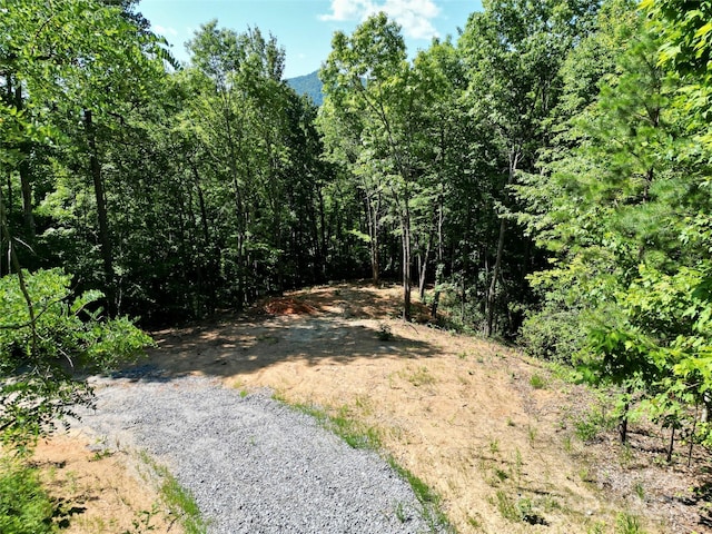 1915 Catawba Falls Pkwy Unit 232, Black Mountain, NC 28711