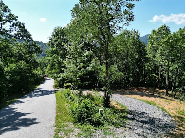 1915 Catawba Falls Pkwy Unit 232, Black Mountain, NC 28711