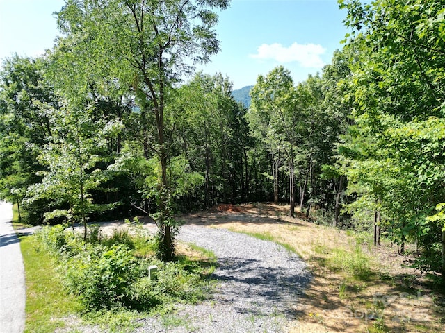 1915 Catawba Falls Pkwy Unit 232, Black Mountain, NC 28711