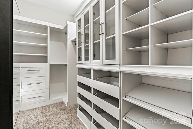 7315 Surprise Ct, Charlotte, NC 28215 - walk in closet featuring carpet flooring