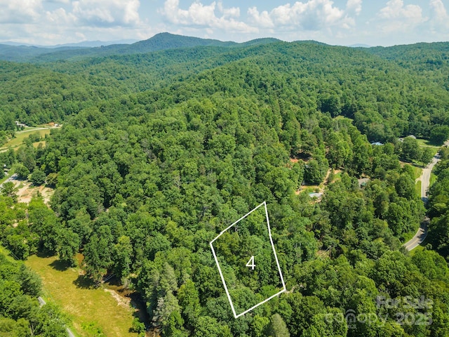 4 Roy Ln, Black Mountain, NC 28711 - photo 1