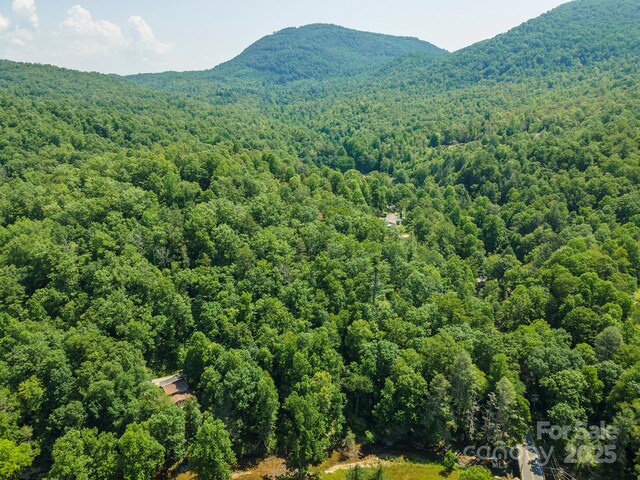 4 Roy Ln, Black Mountain, NC 28711 - photo 3