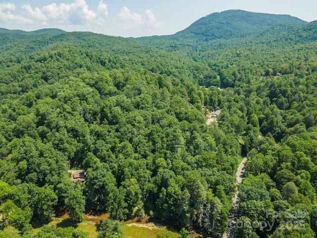 4 Roy Ln, Black Mountain, NC 28711 - photo 4