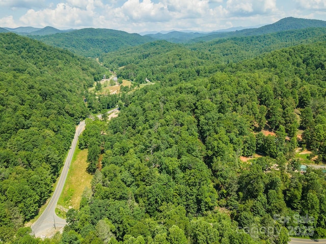 4 Roy Ln, Black Mountain, NC 28711 - photo 5