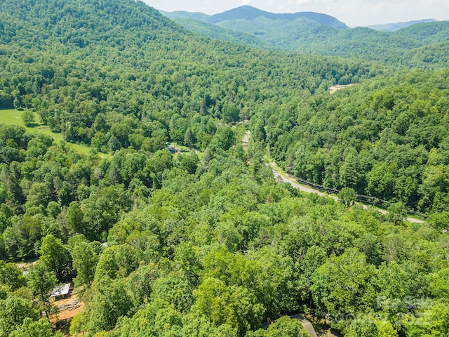 4 Roy Ln, Black Mountain, NC 28711 - photo 6