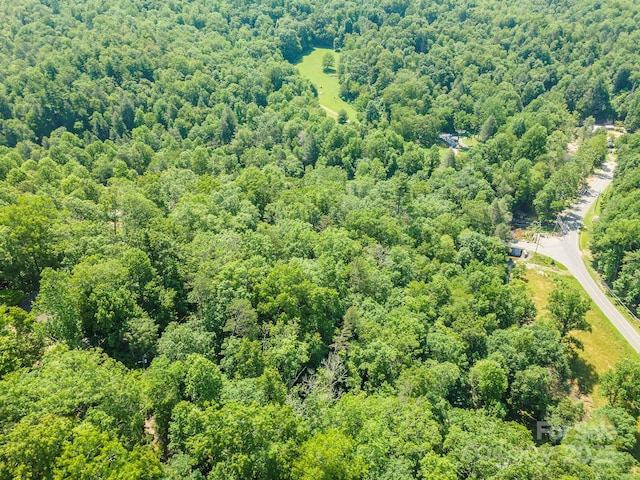 4 Roy Ln, Black Mountain, NC 28711 - photo 7