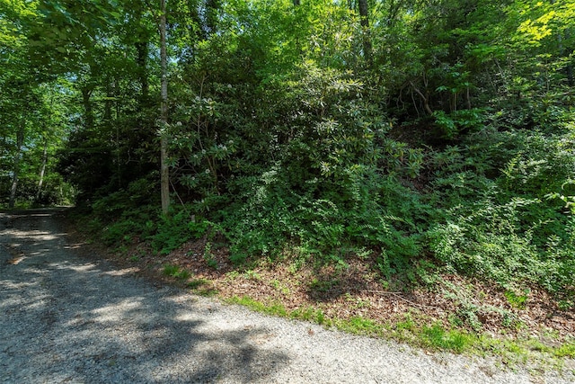 4 Roy Ln, Black Mountain, NC 28711 - photo 8