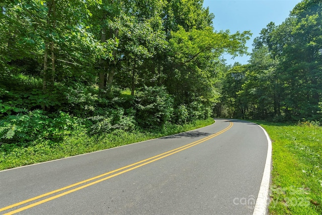 4 Roy Ln, Black Mountain, NC 28711 - photo 9