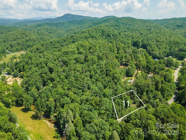 11 Roy Ln, Black Mountain, NC 28711 - photo 1