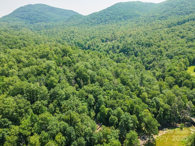 11 Roy Ln, Black Mountain, NC 28711 - photo 2
