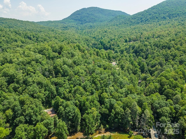 11 Roy Ln, Black Mountain, NC 28711 - photo 3