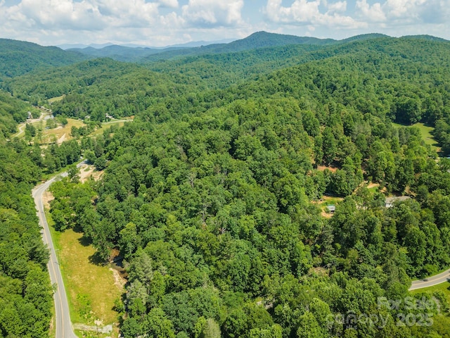 11 Roy Ln, Black Mountain, NC 28711 - photo 4
