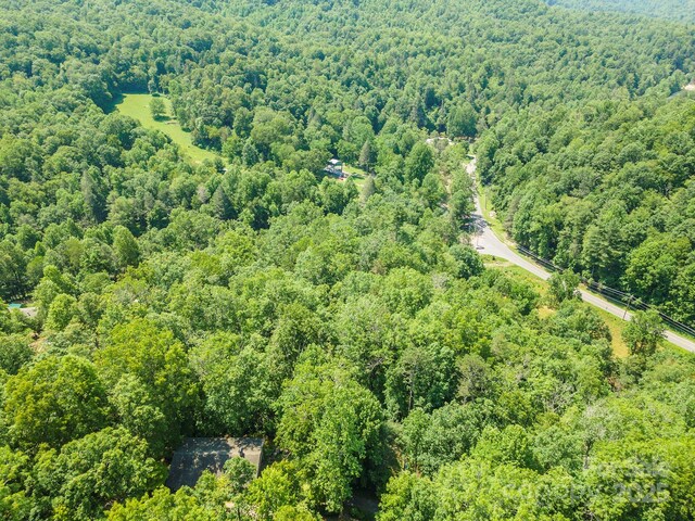 11 Roy Ln, Black Mountain, NC 28711 - photo 5