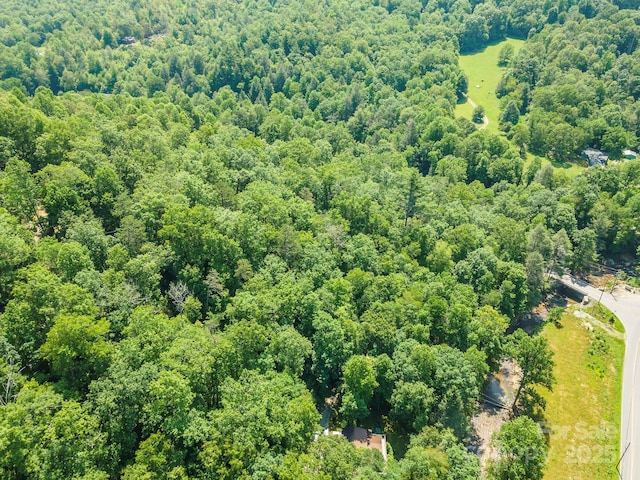 11 Roy Ln, Black Mountain, NC 28711 - photo 6