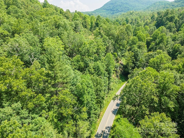 11 Roy Ln, Black Mountain, NC 28711 - photo 8