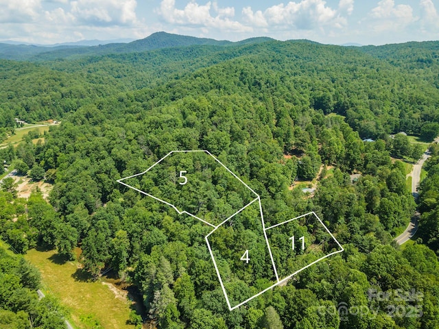 11 Roy Ln, Black Mountain, NC 28711 - photo 10