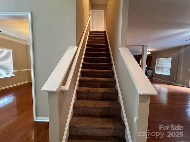 3022 Hendricks Chapel Ln, Charlotte, NC 28216 - photo 17