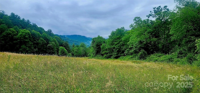 5595 Meadow Fork Rd, Hot Springs, NC 28743 - photo 1
