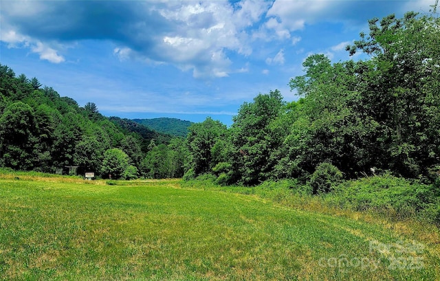 5595 Meadow Fork Rd, Hot Springs, NC 28743 - photo 2