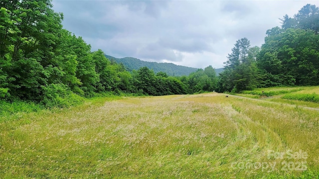 5595 Meadow Fork Rd, Hot Springs, NC 28743 - photo 3